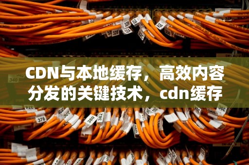 CDN与本地缓存，高效内容分发的关键技术，cdn缓存问题