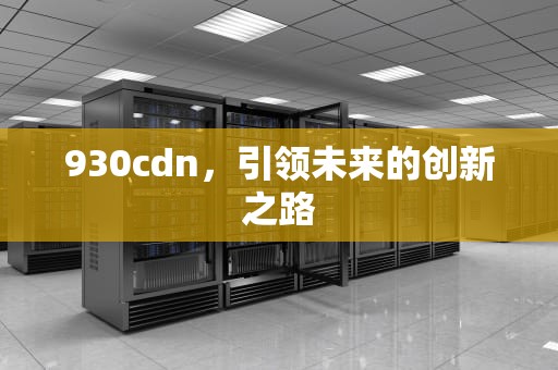 930cdn，引领未来的创新之路