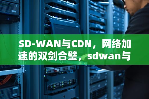 SD-WAN与CDN，网络加速的双剑合璧，sdwan与cdn孰优孰劣