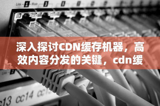 深入探讨CDN缓存机器，高效内容分发的关键，cdn缓存机制