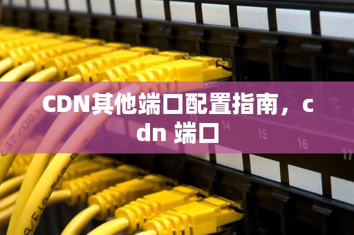 CDN其他端口配置指南，cdn 端口