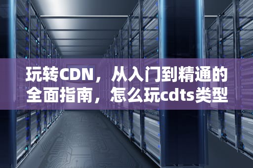 玩转CDN，从入门到精通的全面指南，怎么玩cdts类型