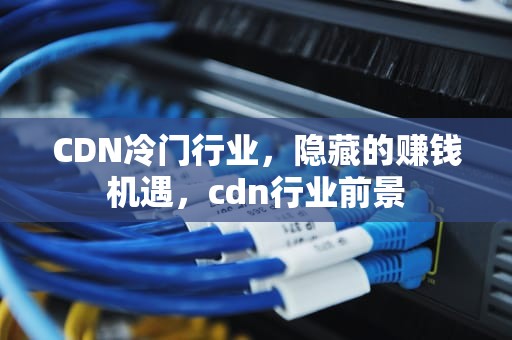 CDN冷门行业，隐藏的赚钱机遇，cdn行业前景