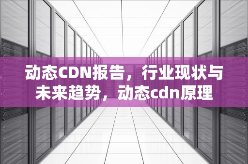 动态CDN报告，行业现状与未来趋势，动态cdn原理