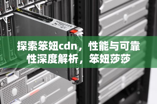 探索笨妞cdn，性能与可靠性深度解析，笨妞莎莎