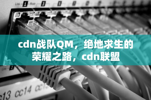 cdn战队QM，绝地求生的荣耀之路，cdn联盟