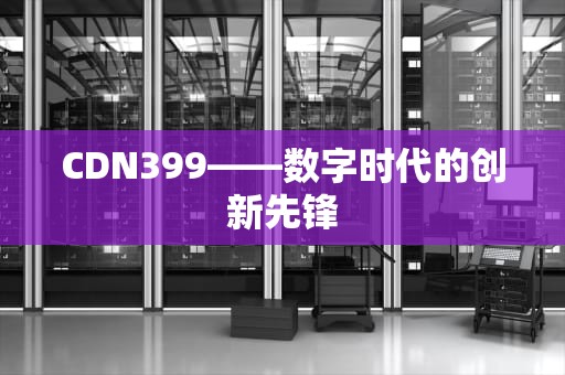 CDN399——数字时代的创新先锋