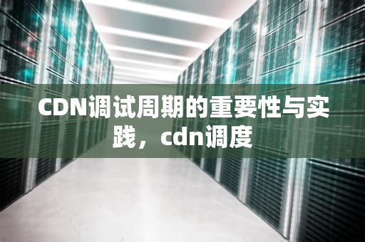 CDN调试周期的重要性与实践，cdn调度