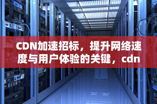 CDN加速招标，提升网络速度与用户体验的关键，cdn加速技术