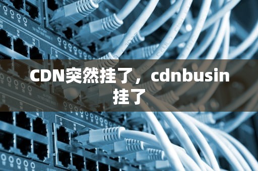 CDN突然挂了，cdnbusin挂了
