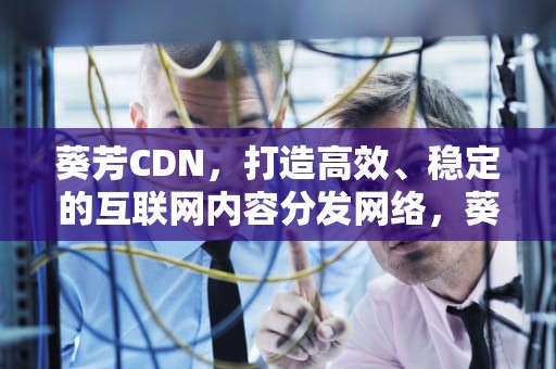 葵芳CDN，打造高效、稳定的互联网内容分发网络，葵芳属于哪个区