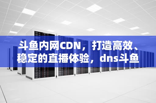 斗鱼内网CDN，打造高效、稳定的直播体验，dns斗鱼