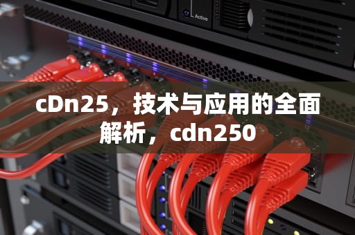 cDn25，技术与应用的全面解析，cdn250