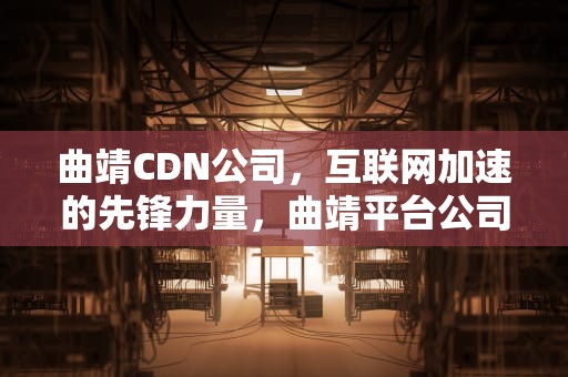 曲靖CDN公司，互联网加速的先锋力量，曲靖平台公司
