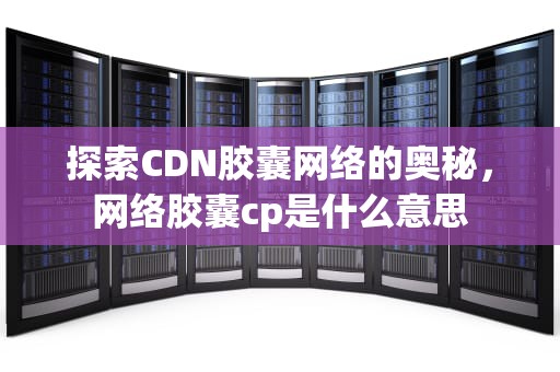 探索CDN胶囊网络的奥秘，网络胶囊cp是什么意思