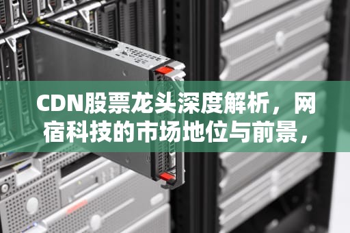 CDN股票龙头深度解析，网宿科技的市场地位与前景，cdn概念龙头股