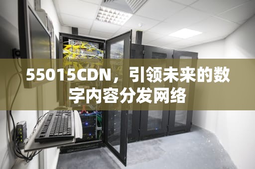 55015CDN，引领未来的数字内容分发网络