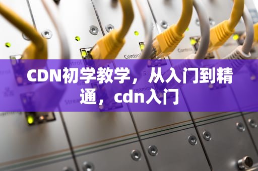 CDN初学教学，从入门到精通，cdn入门