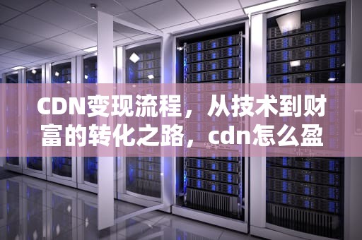 CDN变现流程，从技术到财富的转化之路，cdn怎么盈利