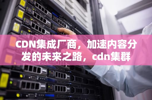 CDN集成厂商，加速内容分发的未来之路，cdn集群
