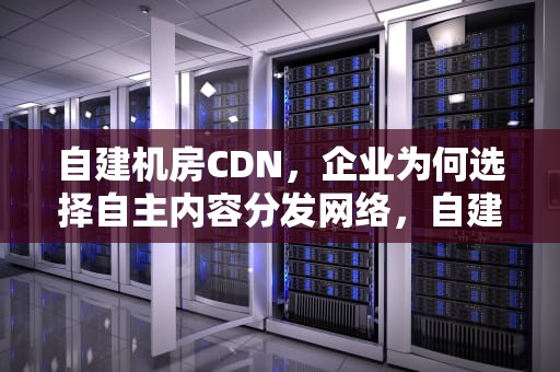 自建机房CDN，企业为何选择自主内容分发网络，自建机房成本