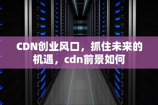 CDN创业风口，抓住未来的机遇，cdn前景如何