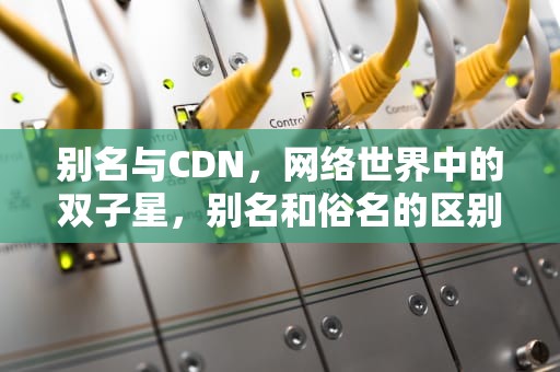 别名与CDN，网络世界中的双子星，别名和俗名的区别