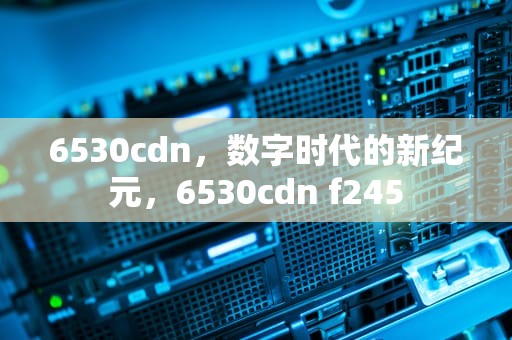 6530cdn，数字时代的新纪元，6530cdn f245