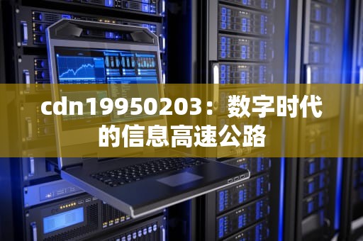 cdn19950203：数字时代的信息高速公路