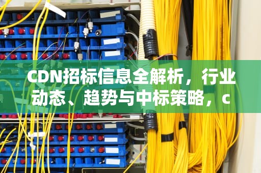 CDN招标信息全解析，行业动态、趋势与中标策略，cdn招标价格