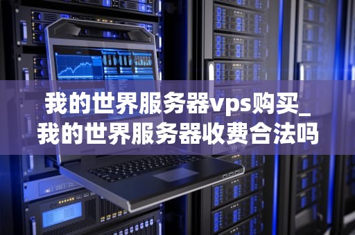 我的世界服务器vps购买_我的世界服务器收费合法吗_购买我的世界服务器VPS的全面指南