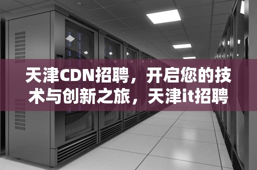天津CDN招聘，开启您的技术与创新之旅，天津it招聘