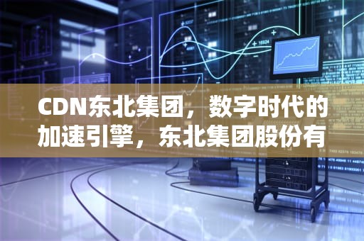 CDN东北集团，数字时代的加速引擎，东北集团股份有限公司