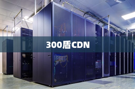 300盾CDN