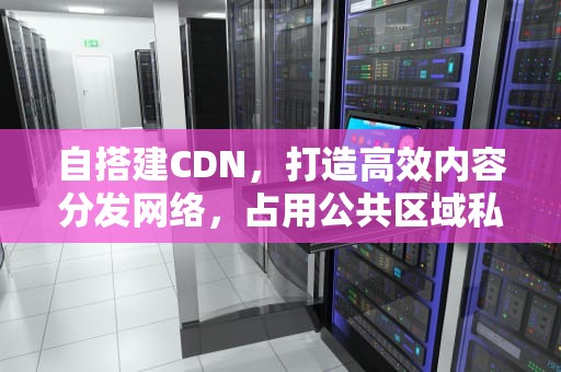 自搭建CDN，打造高效内容分发网络，占用公共区域私自搭建