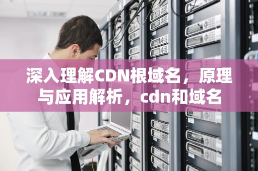 深入理解CDN根域名，原理与应用解析，cdn和域名