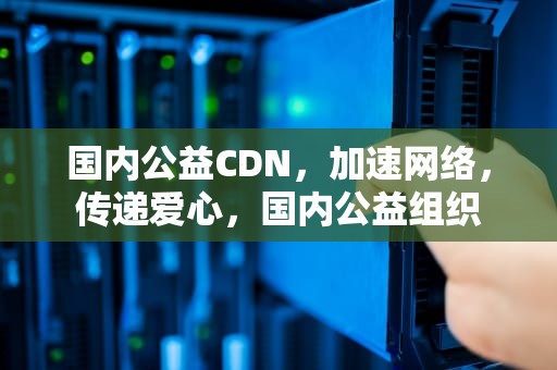 国内公益CDN，加速网络，传递爱心，国内公益组织