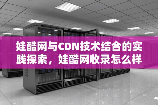 娃酷网与CDN技术结合的实践探索，娃酷网收录怎么样