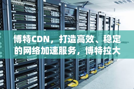 博特CDN，打造高效、稳定的网络加速服务，博特拉大学qs排名