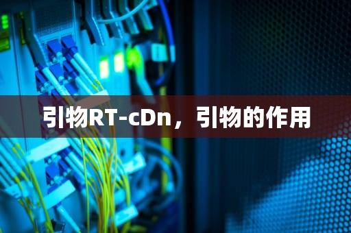 引物RT-cDn，引物的作用