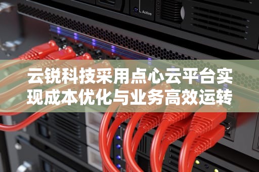 云锐科技采用点心云平台实现成本优化与业务高效运转