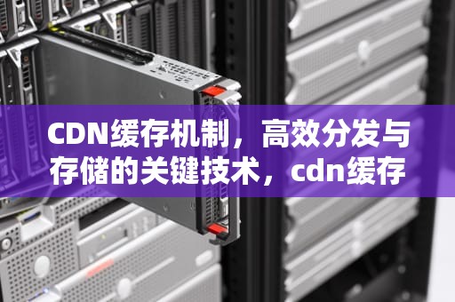CDN缓存机制，高效分发与存储的关键技术，cdn缓存机制和回源策略