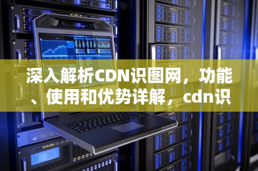深入解析CDN识图网，功能、使用和优势详解，cdn识别