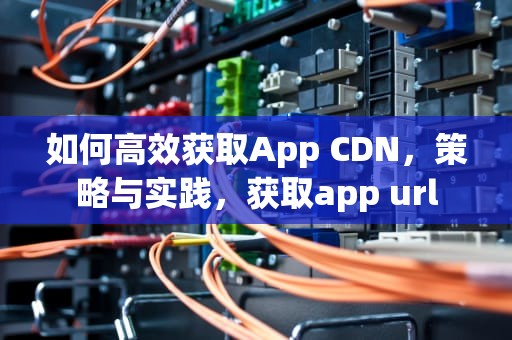 如何高效获取App CDN，策略与实践，获取app url