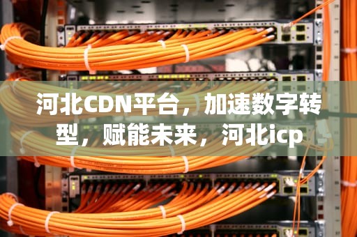 河北CDN平台，加速数字转型，赋能未来，河北icp