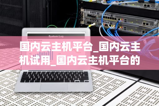 国内云主机平台_国内云主机试用_国内云主机平台的发展与应用