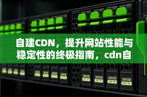 自建CDN，提升网站性能与稳定性的终极指南，cdn自己搭建