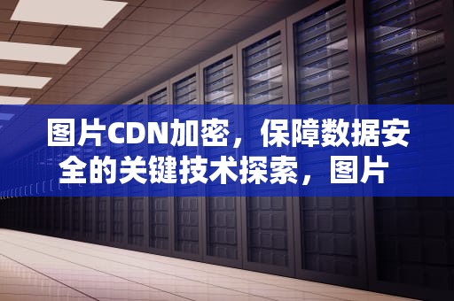 图片CDN加密，保障数据安全的关键技术探索，图片 cdn
