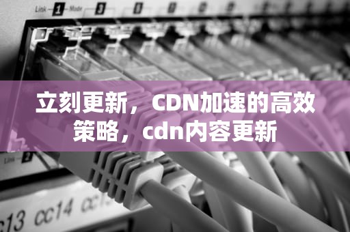 立刻更新，CDN加速的高效策略，cdn内容更新