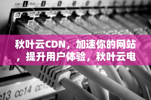秋叶云CDN，加速你的网站，提升用户体验，秋叶云电脑